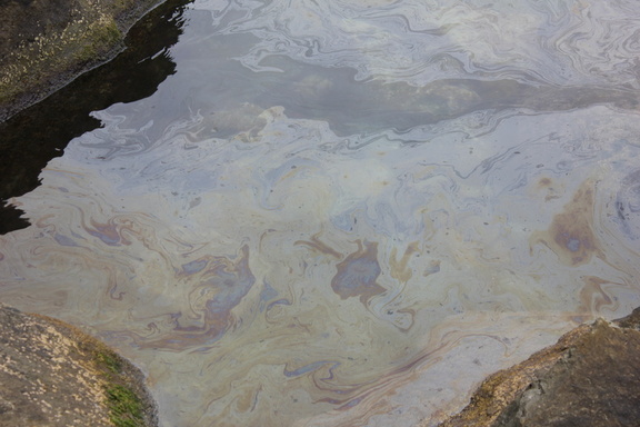 В Сургуте на реке Сайма произошел разлив нефтепродуктов