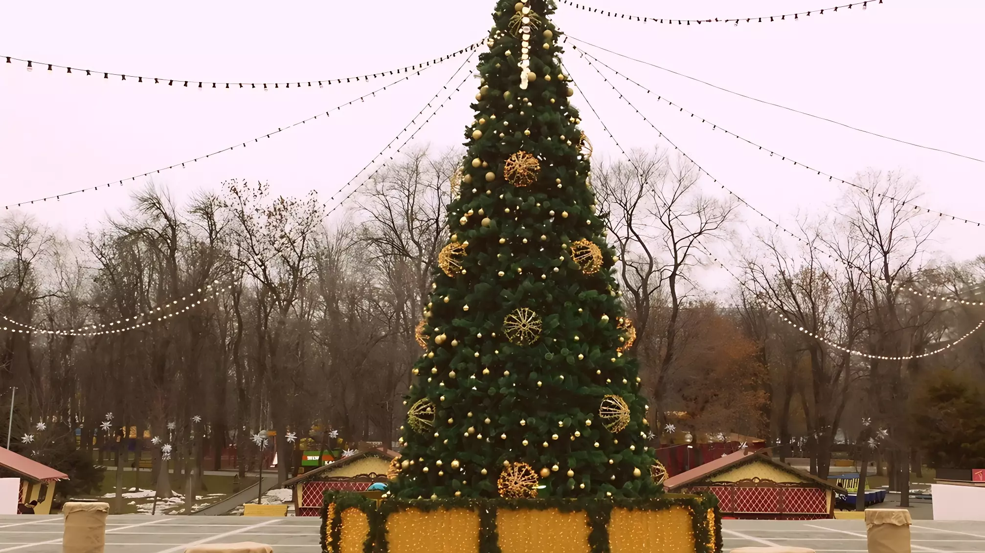 В столице Югры установили главную новогоднюю елку
