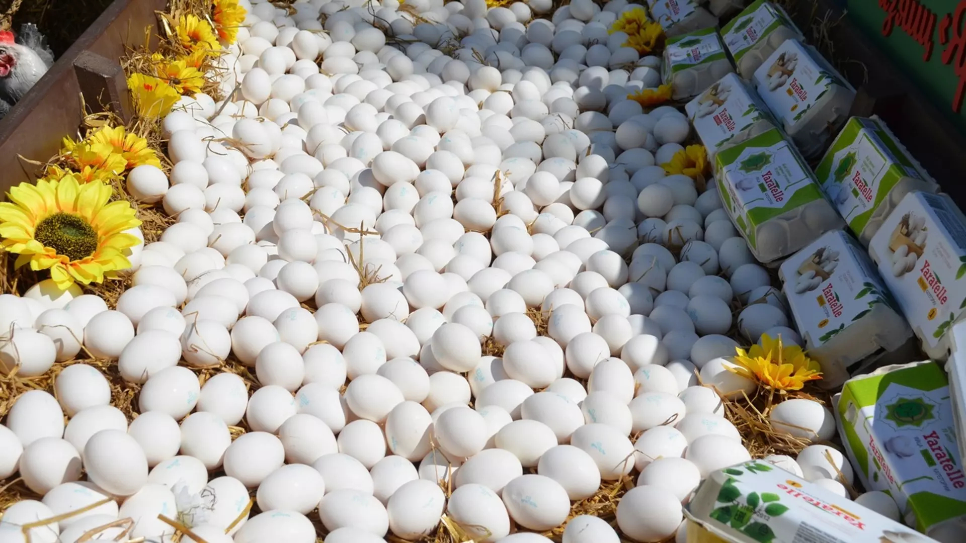 За 2023 год птицефабрики округа смогли произвести 58,8 млн яиц.